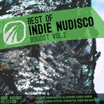 cover: Various - Best Of Indie NuDisco Booost Vol 2