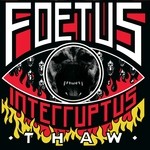 cover: Foetus Interruptus - Thaw