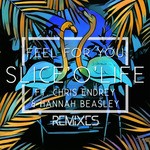 cover: Slice'o'life - Feel For You (feat Chris Endrey/Hannah Beasley) (Remixes)