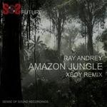 cover: Ray Andrey - Amazon Jungle