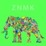 cover: Various - ZNMK Pipe