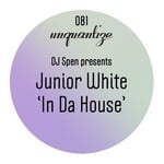 cover: Junior White - In Da House