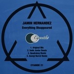 cover: Jamin Hernandez - Everything Disappeared