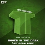 cover: Alex Castaneda - Shiver In The Dark (Lex Loofah remix)