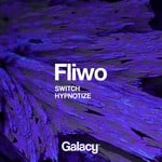 cover: Fliwo - Switch