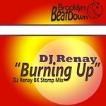 cover: Dj Renay - Burning Up