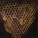 cover: Telefon Tel Aviv - Map Of What Is Effortless