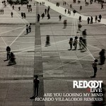 cover: Reboot - Are You Loosing My Mind