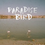 cover: Paradise Bird - Always Be