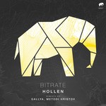 cover: Hollen - Bitrate