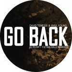 cover: David Temessi|Raul Young - Go Back