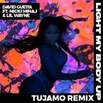 cover: David Guetta|Lil Wayne|Nicki Minaj - Light My Body Up