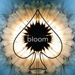 cover: Lele Franza - Bloom