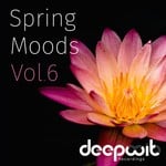 cover: Various - Spring Moods Vol 6