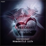 cover: Max Freegrant - Wonderful Life