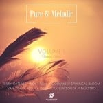 cover: Various - Sunstate Pure & Melodic Vol 1