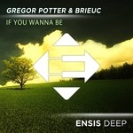 cover: Gregor Potter & Brieuc - If You Wanna Be