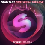 cover: Sam Feldt - What About The Love