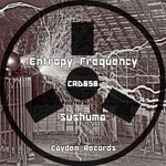 cover: Entropy Frequency - Sushuma