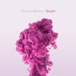 cover: Snow In Mexico - Breath