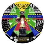 cover: Ron Trent - African Indigenous Rhythms