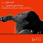 cover: Julio Red - I Guess You Know