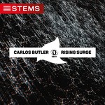 cover: Carlos Butler - Rising Surge