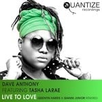 cover: Dave Anthony|Tasha Larae - Live To Love