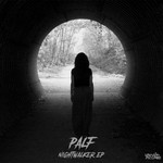 cover: Palf - Nightwalker