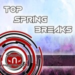 cover: Various - Top Spring Breaks