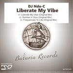 cover: Dj Ndo-c - Liberate My Vibe