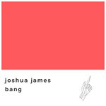 cover: Joshua James - Bang