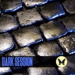 cover: Various - Dark Session