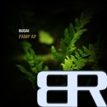 cover: Budai - Pamp Ap