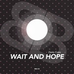 cover: Dario Coiro - Wait And Hope