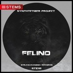 cover: Synthtetizer Project - Felino