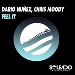 cover: Dario Nunez|Chris Moody - Feel It