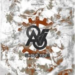 cover: Avi8 - Hold You