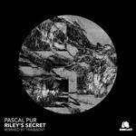 cover: Pascal Pur - Riley's Secret