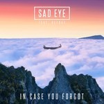 cover: Heyday|Sad Eye - In Case You Forgot