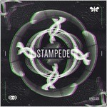 cover: Audiofreq - Stampede