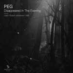 cover: Peg - Disappeared In The Evening