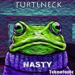 cover: Turtlneck - Nasty