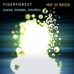 cover: Tigerforest - Keep On Running