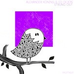 cover: Alexander Koning & Ed Dejon - Strung Out