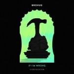 cover: Brohug - If I'm Wrong