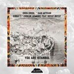 cover: Coskun Akmeric|Eren Erdol|Gadi Mitrani|Koray T - You Are Istanbul #1