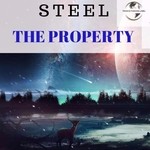 cover: Steel - The Property