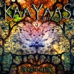 cover: Kaayaas - Energetic Meeting (And Friends)