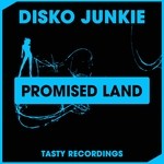 cover: Disko Junkie - Promised Land